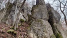 Unterwegs zwischen Felsensteig und Eibenwald | Bild: BR; Ulrike Nikola