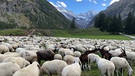 Rückblick auf das extreme Juli-Unwetter im Aostatal | Bild: BR; Georg Bayerle