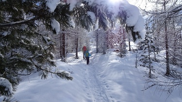 Schneeschuhtour im Südtiroler Schnalstal | Bild: BR; Manfred Wöll