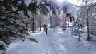 Schneeschuhtour im Südtiroler Schnalstal | Bild: BR; Manfred Wöll