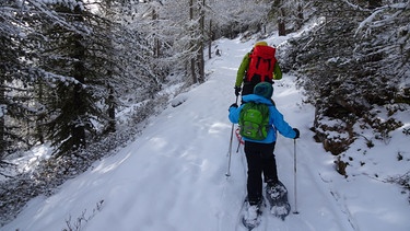 Schneeschuhtour im Südtiroler Schnalstal | Bild: BR; Manfred Wöll