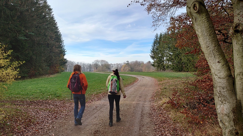 Baumriesen Am Frankischen Tafelberg Vor Der Haustur Unterwegs Mit Abenteurer Walter Koltsch Wandertouren Berge Br De