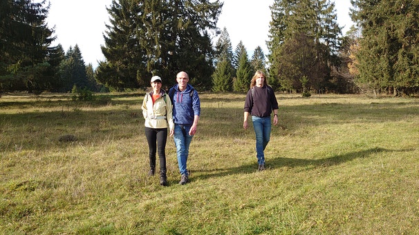 Vor Der Haustur Unterwegs Mit Abenteurer Walter Koltsch Baumriesen Am Frankischen Tafelberg Wandertouren Berge Br De