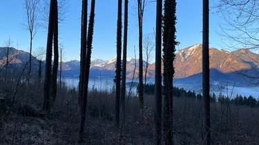 Die schönste Aussicht im Chiemgau? | Bild: BR; Anton Kästner