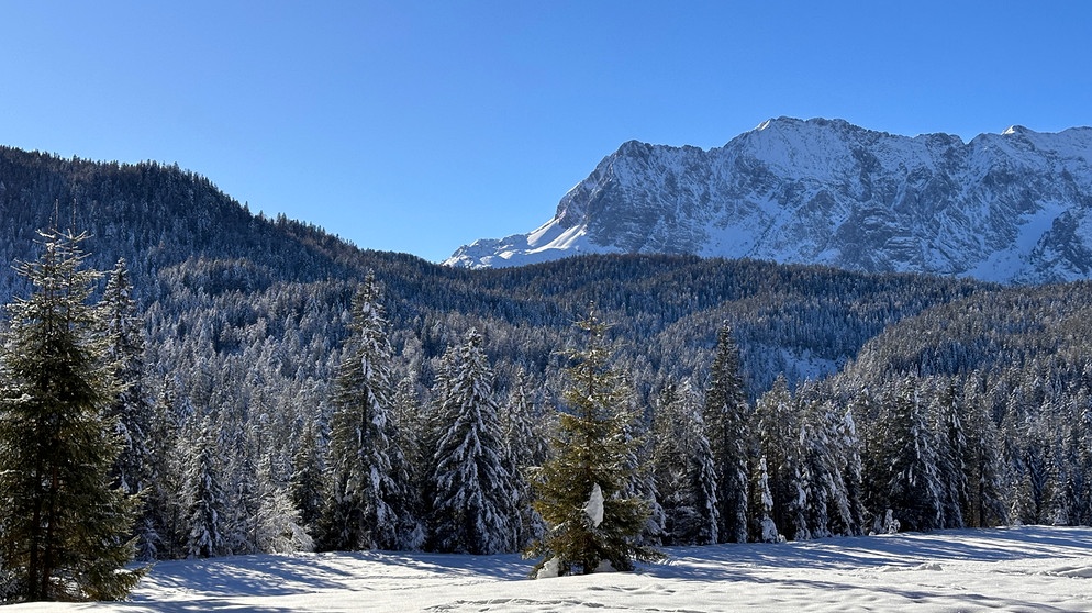 Mit dem Gesicht Richtung Sonne | Bild: BR; Marie Müller