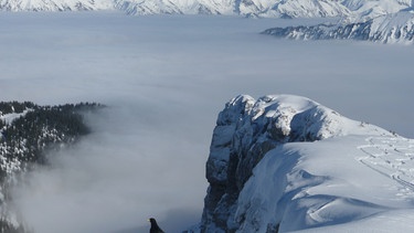 Karstlöcher zwischen Schneedünen und Schneefinken | Bild: BR; Georg Bayerle