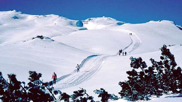 Karstlöcher zwischen Schneedünen und Schneefinken | Bild: BR; Georg Bayerle