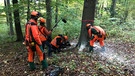 Im Spätherbst ist eine gute Zeit zum Bäumefällen. Da hat das Holz wenig Wasser und eine gute Qualität. Mit der Kamera dabei nahe Neumarkt in der Oberpfalz.  | Bild: BR