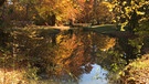 Goldener Herbst im Englischen Garten in München – eine der Geschichten im Film. Unser Foto entstand um die Ecke vom Monopteros.  | Bild: BR