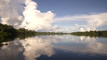 Der Amazonas ist der wasserreichste Fluss der Erde.  | Bild: NDR/doclights/Cosmos Factory