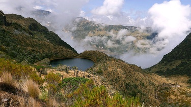 Der kolumbianische Nationalpark "Los Nevados" liegt in der Zentralkordillere der Anden und umfasst 380 km2. | Bild: NDR/doclights/Cosmos Factory