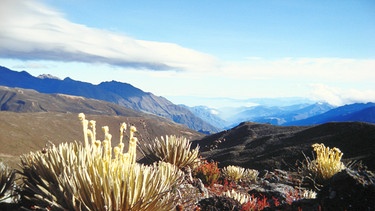 Das Andenhochland Páramo. | Bild: BR/Wieland Lippoldmüller