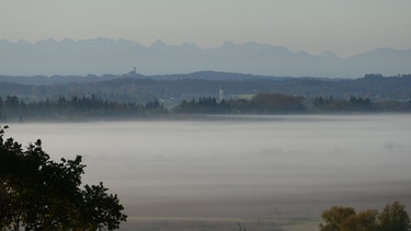 Morgennebel im Ampermoos. | Bild: BR/C. Niederbichler