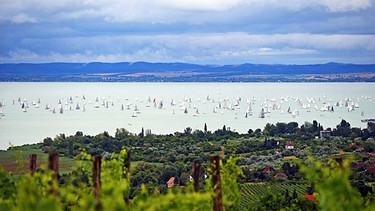 Segelboote auf dem Balaton in Ungarn  | Bild: picture-alliance/dpa/Aron Szanto