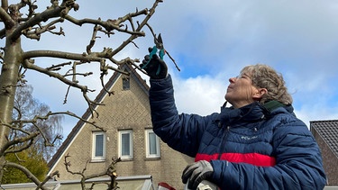 Frau auf Leiter | Bild: Picture alliance/dpa