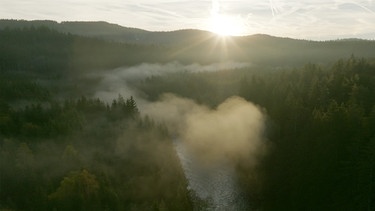 Morgenstimmung im Tal des Schwarzen Regens im Herbst. Wegen dieser wunderbaren Stimmung und Landschaft wird das Gebiet auch Bayerisch Kanada genannt. | Bild: BR/Nikolai Ritzkowsky