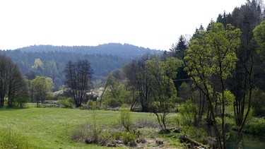 Das Lauterachtal. - Eine Landschaft, bei der man ins Träumen gerät: malerische Flusstäler, duftende Wacholderheiden, bunte Blumenwiesen, schattige Wälder, geheimnisvolle Höhlen, beeindruckende Fels-Riesen und der Duft von Thymian und Salbei. Eine Szenerie, die einen gedanklich in südlichere, mediterrane Gefilde katapultiert, in die Toskana oder die Provence. Doch diese Toskana liegt in Ostbayern: der Bayerische Jura, ein Eldorado für Pflanzen und Tiere. | Bild: BR/Markus Schmidbauer