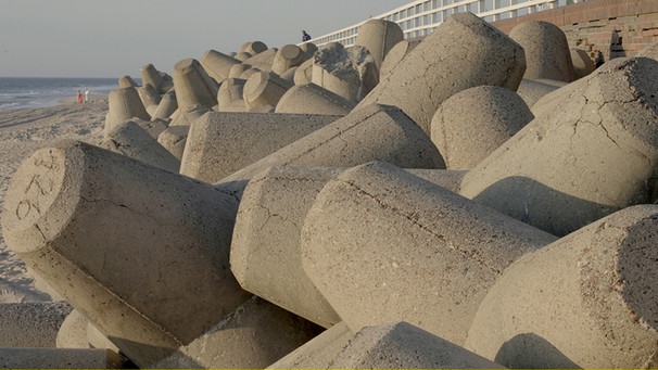 Schon seit Jahrhunderten versuchen die Menschen, die Sanderosionen an den Küsten zu verlangsamen. | Bild: BR/NDR/Tobias Lickes