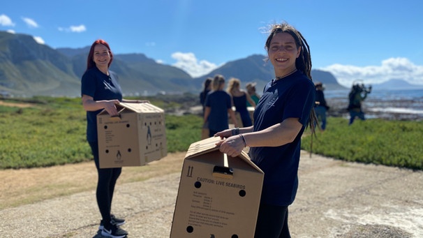 Die niederbayerischen Tierpflegerinnen Stefanie und Jessica wildern Pinguine in Südafrika aus. | Bild: BR/Constantin Entertainment GmbH/Josephine Steiskal