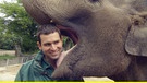 Knutschen mal anders - Tierpfleger Christian Wenzel wird vom Elefanten geküsst. | Bild: NDR/DocLights GmbH