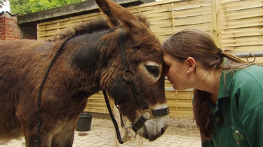 Tierpflegerin Lisa Voß und der sture Esel Emil. | Bild: NDR/DocLights GmbH