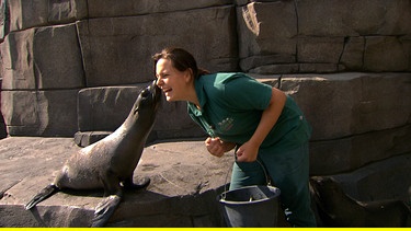 Tierpflegerin Alexandra Eisel bekommt ein Robbenküsschen. | Bild: NDR/DocLights GmbH