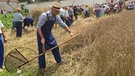 Sven Plöger beim Schnitterfest in Maihingen. | Bild: SWR/Dirk Neuman