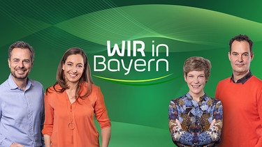 Das Key Visual Sendereihenbild mit Typo zu "Wir in Bayern" mit dem Moderatoren-Team (von links): Michael Sporer, Andrea Lauterbach, Sandra Bouscarrut und Dominik Pöll. | Bild: BR/Markus Konvalin/Montage: Susanne Baur