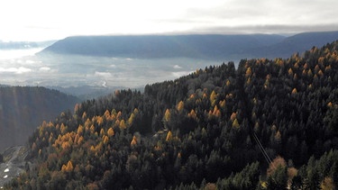 Der Kärntner Dobratsch ist zu allen Jahreszeiten ein Naturerlebnis. Regisseur Martin Vogg zeigt die Menschen hier, wie sie in Einklang miteinander, mit der Natur und mit ihren Tieren leben und den Sommer uns Spätsommer in vollen Zügen genießen. | Bild: ORF/Clever Contents