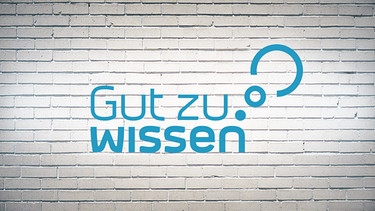 Key Visual/Cover Sendereihenbild mit Typo zu "Gut zu wissen". "Gut zu wissen" liefert das Wissen hinter aktuellen Schlagzeilen. Informativ und spannend. Lösungsorientiert, aber nicht unkritisch. Wir zeigen, wie Wissenschaftlerinnen und Wissenschaftler mithelfen, die Welt besser zu machen und was das alles mit unserem Alltag zu tun hat. | Bild: BR