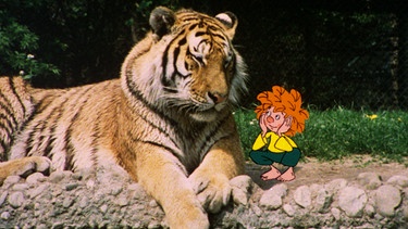 Meister Eder und Pumuckl gehen in den Zoo. Die vielen fremden Tiere sind neu und aufregend für den kleinen Kobold. | Bild: BR/Infafilm GmbH/Original-Entwurf "Pumuckl"-Figur: Barbara von Johnson