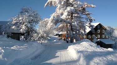 Auf dem Birkhof im Allgäu ist alles bereit fürs Weihnachtsfest. | Bild: BR/isarflimmern fernsehproduktion GmbH/cutflow GmbH/Robert Eckert