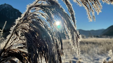 In der winterlichen Eiseskälte kommt auch die Natur zur Ruhe. | Bild: BR