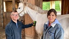 Ein Schimmel wie Teddy ist besonders schwer zu putzen. | Bild: BR/Text und Bild Medienproduktion GmbH & Co. KG/Karen Markwardt