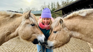 Im Offenstall merkt Nina schnell, wie neugierig Evas Fjordpferde sind. | Bild: BR/Text und Bild Medienproduktion GmbH & Co. KG/Katharina Brackmann