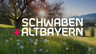 Key Visual/Cover Sendereihenbild mit Typo zu "Schwaben + Altbayern". Land und Leute, Wirtschaftspolitik und Wirtshäuser, Handwerk und High-Tech, Zünftiges und Zukunftsweisendes, "Schwaben + Altbayern" bietet ein lebendiges Bild von Schwaben, der Oberpfalz, Ober- und Niederbayern. Seit 1978 berichtet die Redaktion "Land und Leute" in München über politische, wirtschaftliche und kulturelle Besonderheiten dieser Teile Bayerns, über Regionales von überregionaler Bedeutung. | Bild: BR/Getty Images/wingmar/Montage: BR