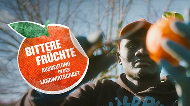 Der Dokumentarfilm „Bittere Früchte“ zeigt die unmenschlichen Bedingungen, unter denen moderne Lohnsklaven unser tägliches Obst und Gemüse auf Europas Feldern ernten. Das System der Ausbeutung wird Schritt für Schritt nachrecherchiert und es wird offengelegt, wie die Lieferketten vom Feld in den Einkaufskorb funktionieren. Wir fragen, welche Auswirkungen der oft ruinöse Preiskampf der großen Supermarktketten auf die skandalösen Zustände in Europas Anbaugebieten hat. | Bild: WDR/Marcus Zahn