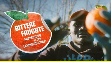 Der Dokumentarfilm „Bittere Früchte“ zeigt die unmenschlichen Bedingungen, unter denen moderne Lohnsklaven unser tägliches Obst und Gemüse auf Europas Feldern ernten. Das System der Ausbeutung wird Schritt für Schritt nachrecherchiert und es wird offengelegt, wie die Lieferketten vom Feld in den Einkaufskorb funktionieren. Wir fragen, welche Auswirkungen der oft ruinöse Preiskampf der großen Supermarktketten auf die skandalösen Zustände in Europas Anbaugebieten hat. | Bild: WDR/Marcus Zahn