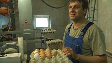 Am Hof von Franz Schenkermeier werden gut 100 Gänse, dazu über hundert Enten und circa 250 Hühner täglich gefüttert. Im eigenen Hofladen werden unter anderem auch Enten und Gänse verkauft. | Bild: BR