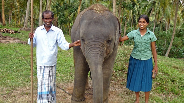 Die Erste Weibliche Elefantenfuhrerin Sri Lankas Chandani Und Ihr Elefant Br Fernsehen Fernsehen Br De