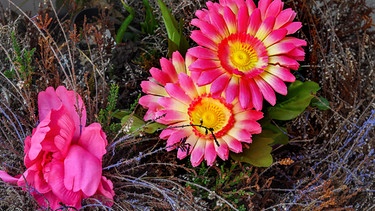 Künstliche Blüten | Bild: Picture alliance/dpa