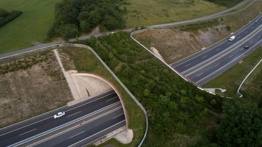 Grünbrücke über ie Autobahn | Bild: Picture alliance/dpa