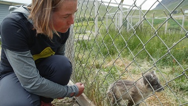 Es gibt auf der ganzen Welt vermutlich nur eine Frau, die sich mit einem Polarfuchs unterhalten kann: die isländische Biologin Ester Rut Unnsteinsdóttir. | Bild: BR/Tobias Mennle film production