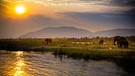 Der Untere-Sambesi-Nationalpark liegt in Sambia. An seinen Ufern: Afrikanische Elefanten. | Bild: BBC Studios/BR/Shutterstock.com/Radek Borovka