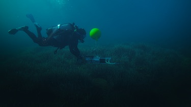 Alicia Dalongeville schiebt einen eDNA-Filter am Meeresboden entlang. Die französische Meeresbiologin kann dadurch winzige genetische Partikel einfangen und herausfinden, welche Arten in einem Gebiet existieren. Sie ist im Mittelmeer vor Korsika auf der Suche nach Spuren des Engelhais, der im Mittelmeer bislang als ausgestorben galt. | Bild: BR/ARTE/InOne Media/Matthias Jim Günther