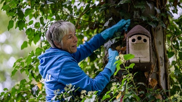 Frau auf Leiter neben Nistkasten | Bild: picture alliance/dpa