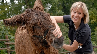 Die Zootierärztin Dr. Sandra Silinski inspiziert Poitou-Esel Fridolin. | Bild: BR/WDR/Melanie Grande