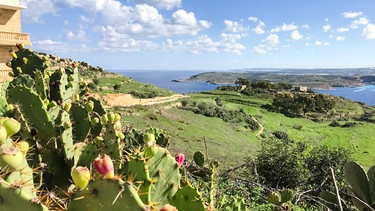 Landschaft in der Nähe von Gozo auf der Insel Malta. | Bild: Bewegte Zeiten Filmproduktion GmbH/BR/Gerrit Mannes