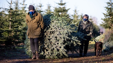 Weihnachtsbaum, Corona | Bild: dpa-Bildfunk/Moritz Frankenberg