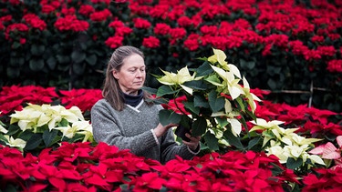 verschiedene Farben zeigt Frau | Bild: Picture alliance/dpa